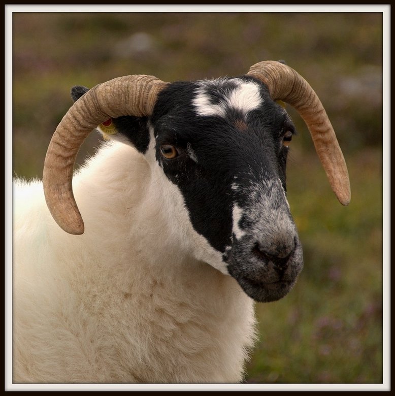 Patrząc na człowieka z politowaniem...