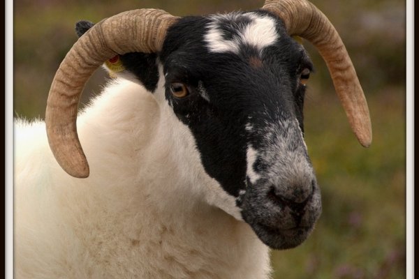 Patrząc na człowieka z politowaniem...