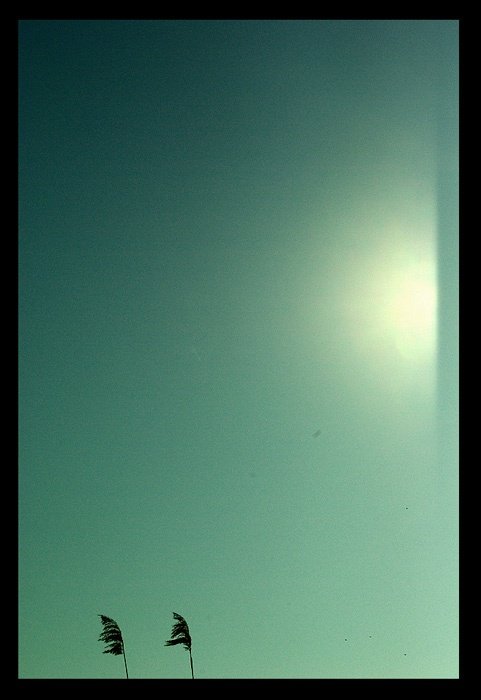 bez tego nie istniałaby całość I