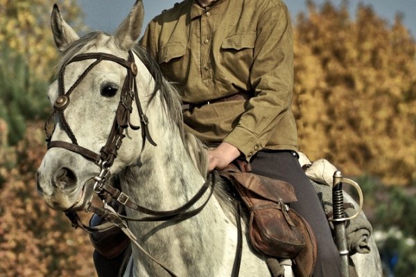 Na kozacką nutę...