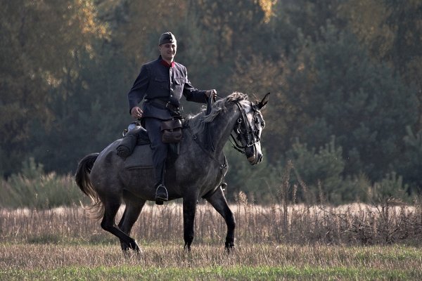 C.K. jeszcze nie dezerter...