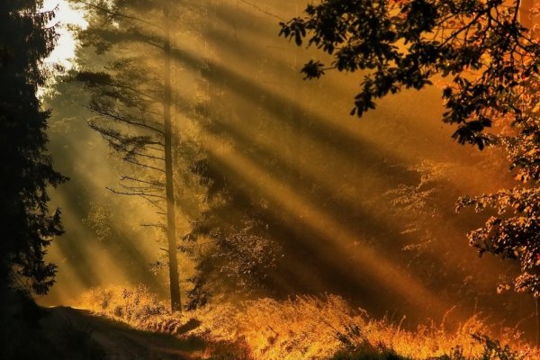 świetliście iście.