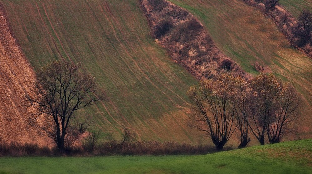 Listopad Dolny Śląsk