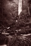 pistyll rhaeadr
