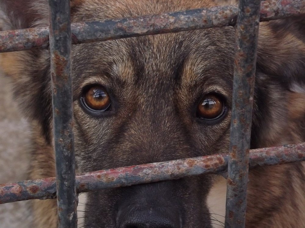 samotność za kratami