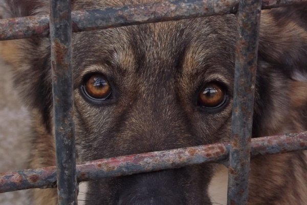 samotność za kratami