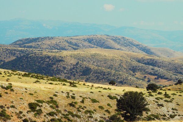 pustka wypełniona słońcem