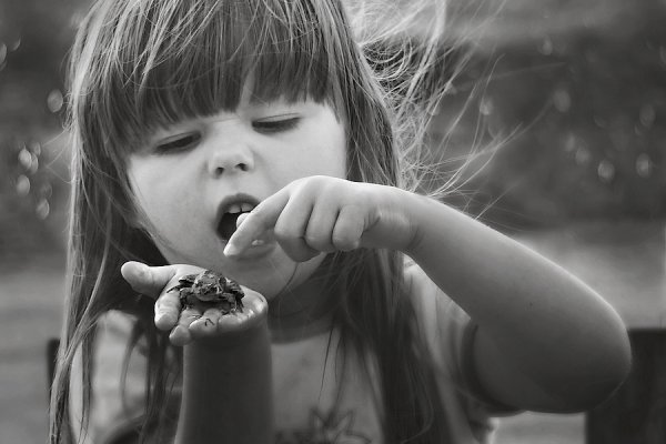 Nie jesteś Księciem !