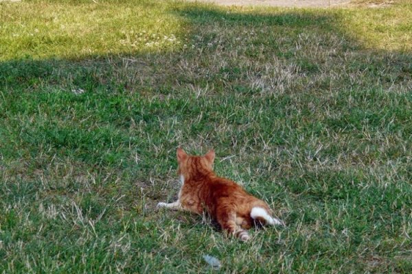 Będzie solidna kolacja