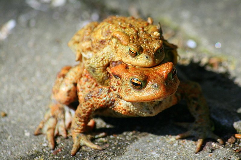 milosc rosnie wokol nas