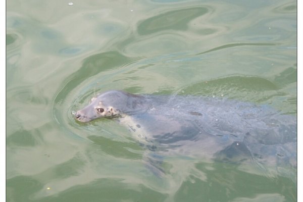 kokieteryjne spojrzenie?:))