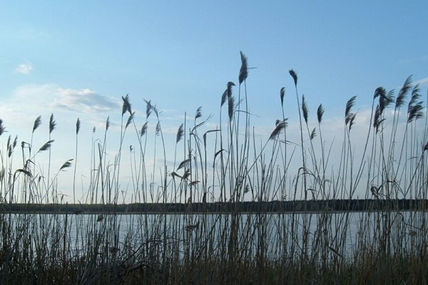 niby nic a cieszy oko :)