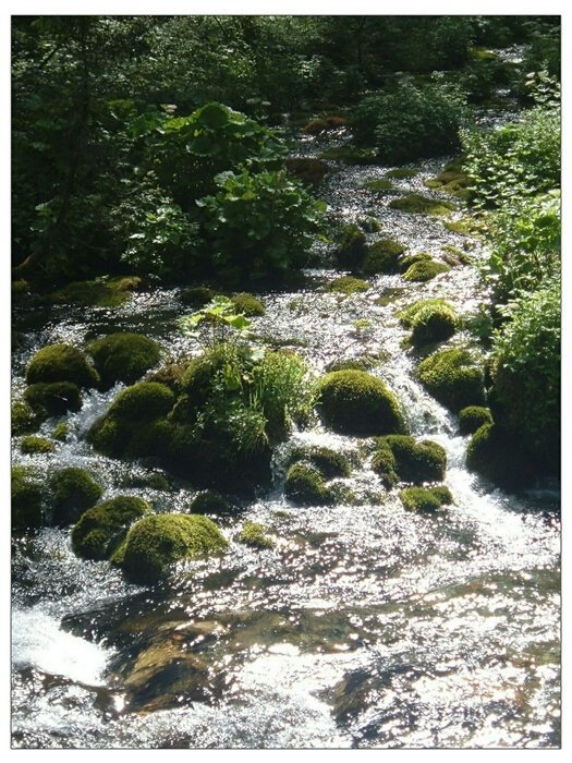 strumyk w dolinie Kościeliska