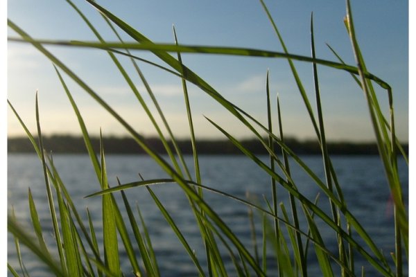 pamiętam - świeciło słońce.