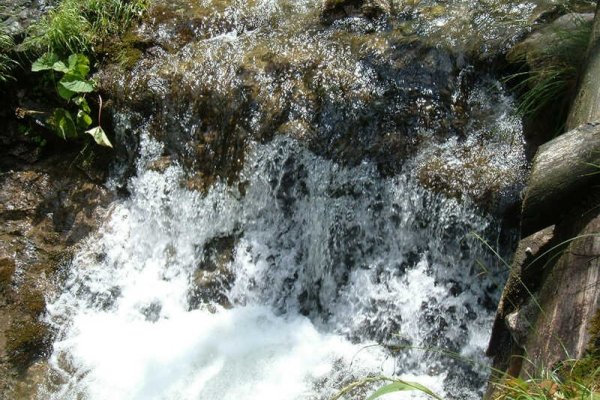 tatrzański potoczek