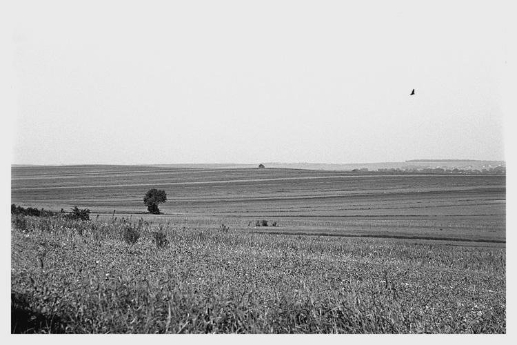 Moje Roztocze moim natchnieniem.