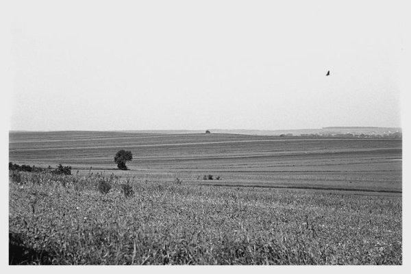 Moje Roztocze moim natchnieniem.