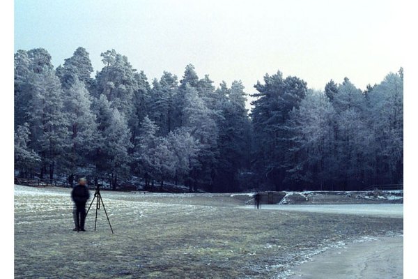 Plowanie na swiatlo.