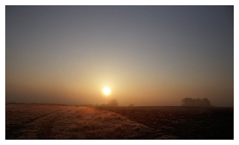 Sennie wstaje dzień, cos sie zaczyna