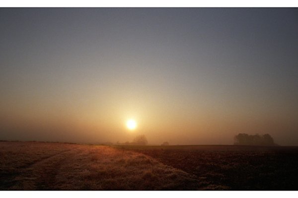 Sennie wstaje dzień, cos sie zaczyna