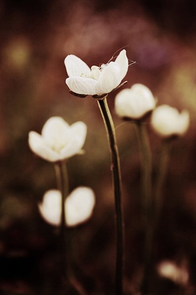 nielubiewymyslactytulow.