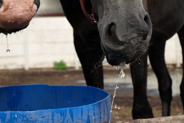 wody nigdy nie zawiele