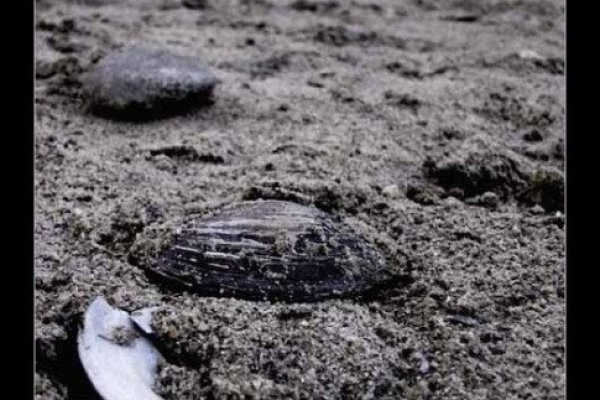 piaskiem otoczone...