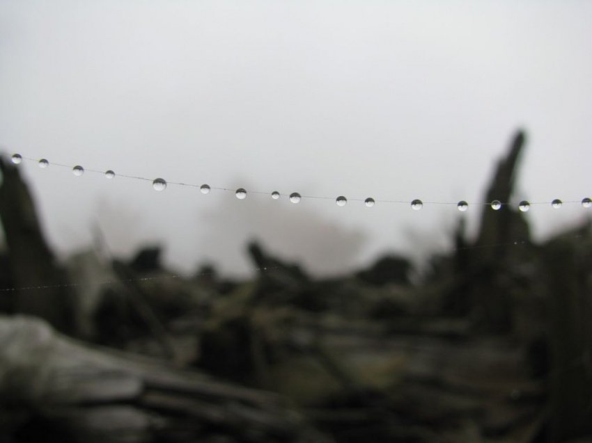 Kropelkowe koraliki ;)