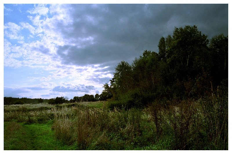 The Storm is comin' II