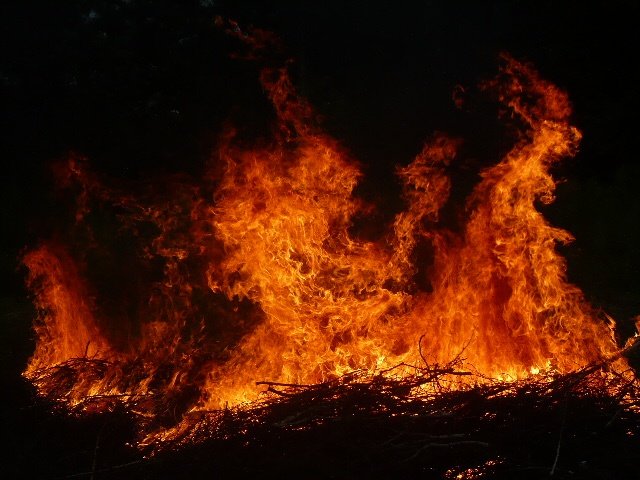 Piękny i niebezpieczny