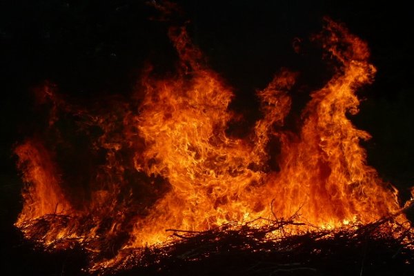 Piękny i niebezpieczny