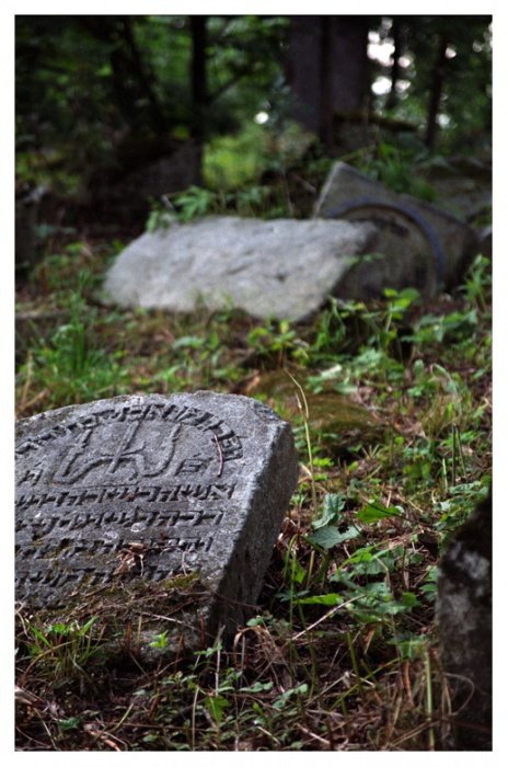 Whisper in the forest