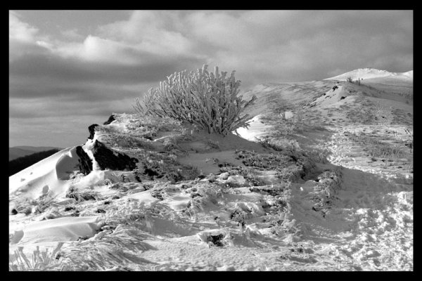 kiedy bedzie sniegus?