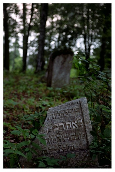 Family in the Forest