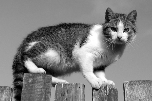 Nie Zaczepiaj Mnie...