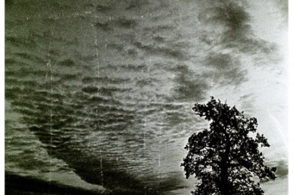 They're taking me to the gallows pole