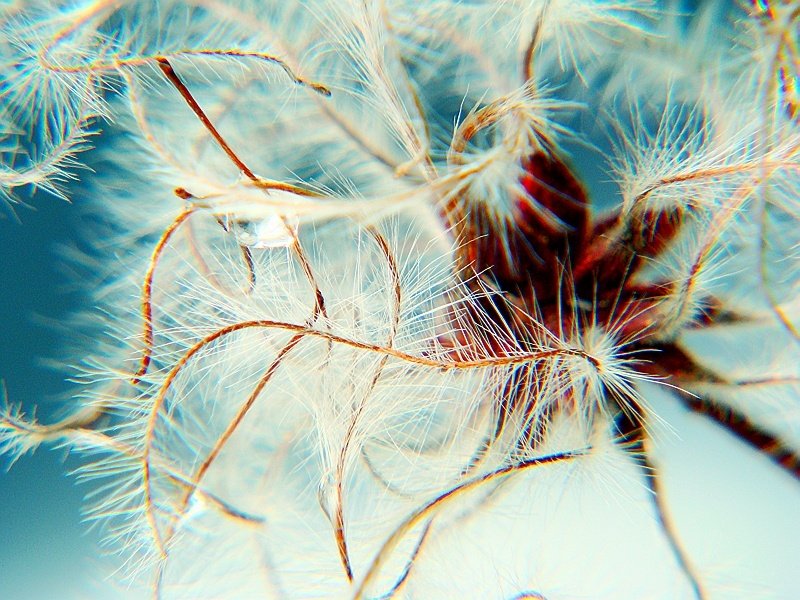 Tym razem troszke abstrakcji :)