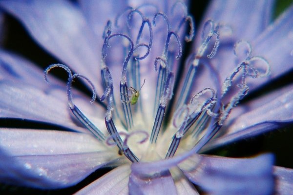 wspinaczka zielonego robaczka :)