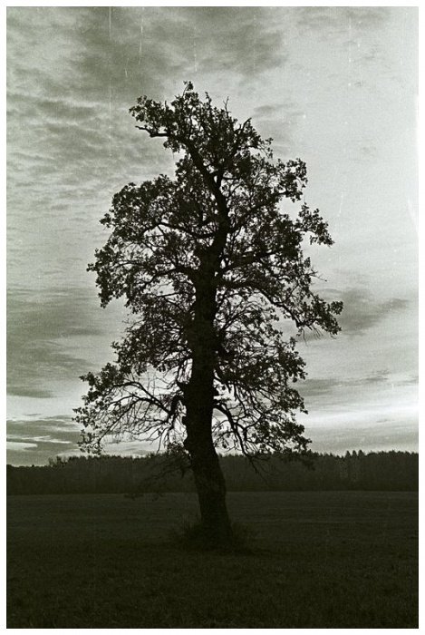 Pamiec o tej ziemi zyje razem z toba