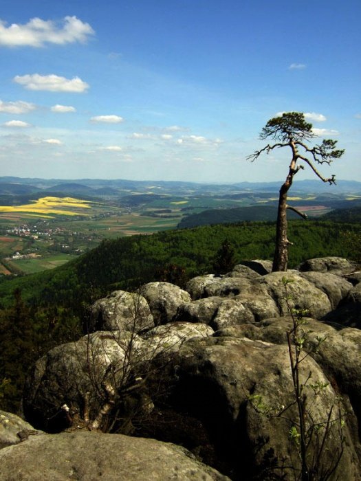 Gdzie jest tajemniczy ninia..