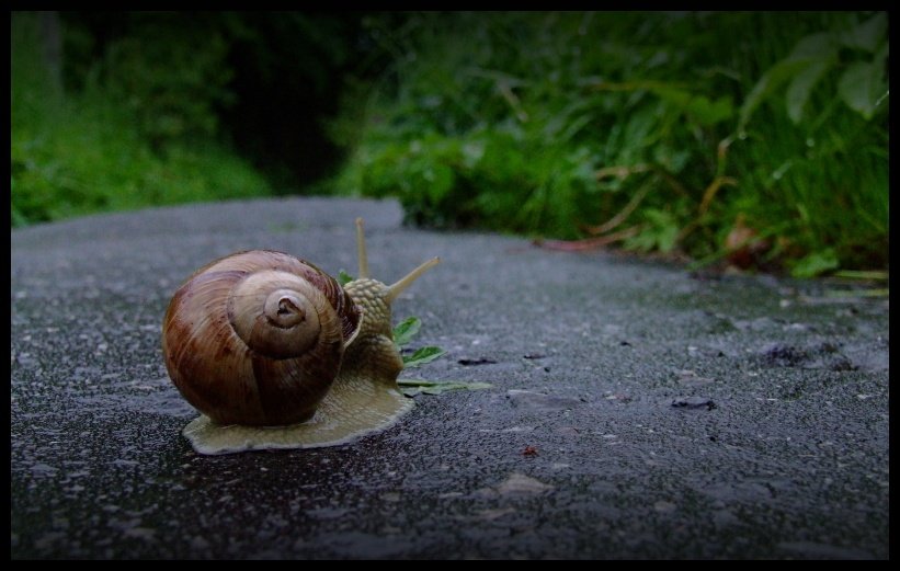 a droga jest bez konca...