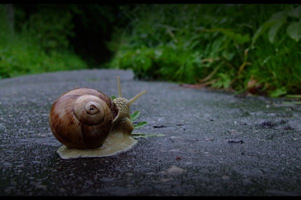 a droga jest bez konca...