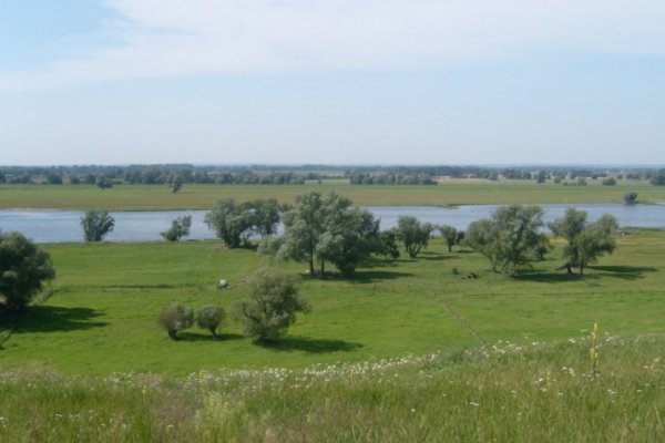 Piękny widok
