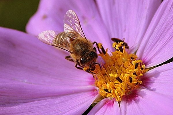 ............................