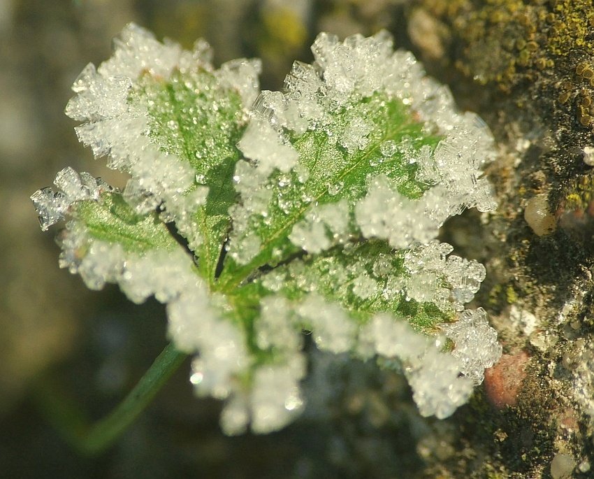 Zima też ma kolory...