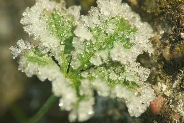 Zima też ma kolory...