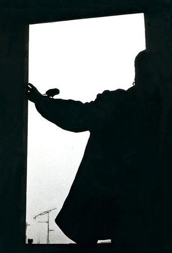 autoportret  z papugą