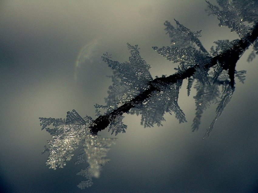 Doskonałość Kształtów...