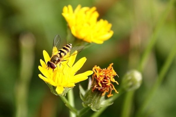 Ona mi lata koło nosa:P