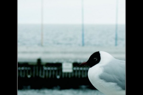 a ja sobie stoję...